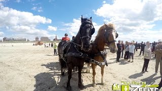 MARATHON DATTELAGE BERCK SUR MER BY ZELITE [upl. by Reis]