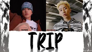 GEMINI JAY PARK  quotTRIPquot Color Coded Lyrics EngRomHan가사 [upl. by Andre890]