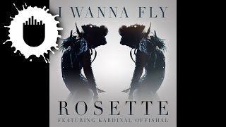 Rosette feat Kardinal Offishall  I Wanna Fly Cover Art [upl. by Neelat]