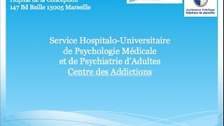 Les troubles psychiatriques  Pr Christophe Lançon [upl. by Herzel756]