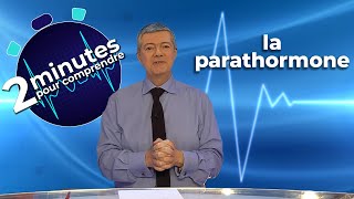 La parathormone [upl. by Ollayos]