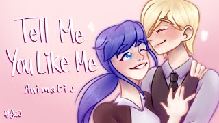 Tell Me You Like Me  Miraculous Ladybug Felix and Bridgette Animatic read desc for the story [upl. by Curnin]