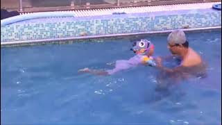 Toddler Swimming Training fast learning program [upl. by Midas954]