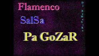 la sonora carruseles son de los cueros remix 2011 x Dj Ramonikowmv [upl. by Ruthe]