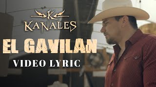 Kanales  El Gavilán Video Lyric [upl. by Adanama]