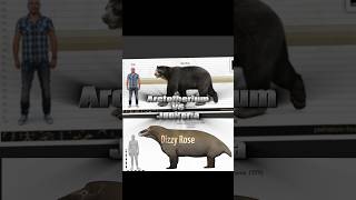 Arctotherium Angustidens vs Jonkeria Haughtoni paleontology animals 1v1 bears fyp [upl. by Meares]