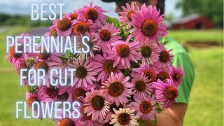 Blooming Beauties Discover Our Top Favorite Perennial Cut Flowers  PepperHarrowFarmcom [upl. by Kenn]