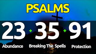 Psalms 233591 THE ESSENTIAL PSALMS FOR ABUNDANCE BREAKING SPELLS AND PROTECTION [upl. by Nanam]