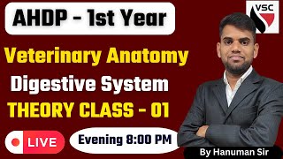 Digestive System Veterinary Anatomy  AHDP 1st Year I By  Hanuman Sir [upl. by Yetty]