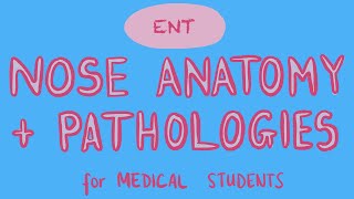 ENT  Nose Anatomy  Pathologies for Medical Students [upl. by Felty]