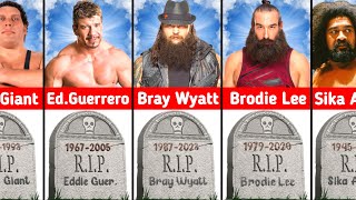 WWE Wrestlers Who Have Died [upl. by Lseil]