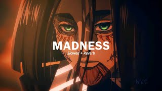 STIM  Madness  Slowed  Reverb   Lyrics [upl. by Lubow478]