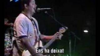 NOFX  Shes Gone live Dr Music Festival 97 [upl. by Karlise]