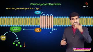 Pseudohypoparathyroidism  Part 1  Pathology [upl. by Claud]