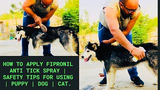 Family PetCare  How to apply Fipronil Anti Tick Spray  Safety Tips for Using  Puppy  Dog  Cat [upl. by Enetsirk]