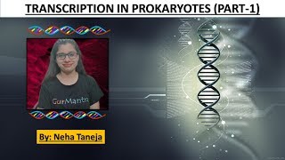 Transcription in Prokaryotes Part1 [upl. by Randell]