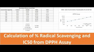 Radical Scavenging Activity Measurement and IC50 Calculation DPPH Assay in Excel [upl. by Garnett548]