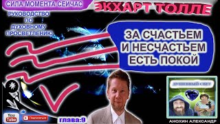 ЗА СЧАСТЬЕМ И НЕСЧАСТЬЕМ ЕСТЬ ПОКОЙ  СИЛА МОМЕНТА СЕЙЧАС  ЭКХАРТ ТОЛЛЕ [upl. by Meyers932]