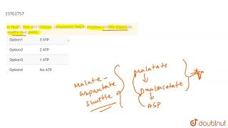 In heart liver and kidneys cytoplasmic NADH employs malateaspartate shuttle that yields [upl. by Affay550]