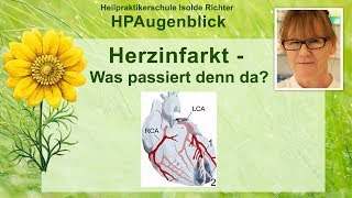 Herzinfarkt  Was passiert denn da [upl. by Muir]