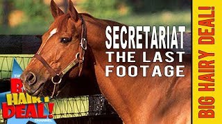 Secretariat The Last Footage [upl. by Fannie]