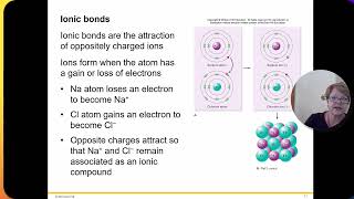 BIOL 1406 Chapter 2 Part 2 [upl. by Nnyleak]