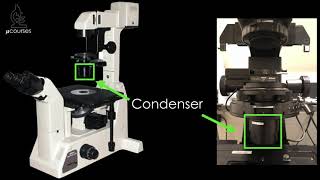 Microscope alignment for optimal image quality Koehler Illumination [upl. by Stannfield]