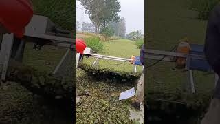 Fish pond duckweed feed collection process [upl. by Ardnaeel]