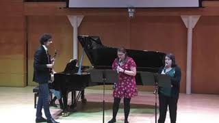 Krommer Concerto for Two Clarinets op 35 [upl. by Lallage498]