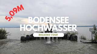 509m Bodensee Hochwasser Immenstaad am Bodensee 11 Juni 2024 [upl. by Bethezel]