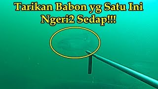 NYELAM NEMBAK IKAN DI SPOT BARU IKAN NILANYA BESAR2 BANGAT EPS33 [upl. by Sabas]