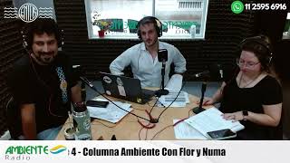 Columna Ambiental con Flor y Numa [upl. by Lucier]