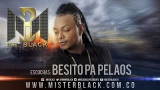 Besito Pa Pelaos  Mr Black ® [upl. by Ythomit]