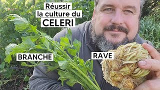 Comment cultiver le CELERI RAVE ou le CELERI BRANCHE 『TUTO』 [upl. by Nivag837]