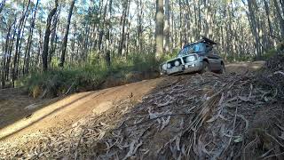 Pajero IO in the state forest near Warburton Vic Britannia Range [upl. by Ellesig]