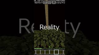 Expectation vs reality 😅legendlord2minecraftviralvideo [upl. by Gorlicki747]