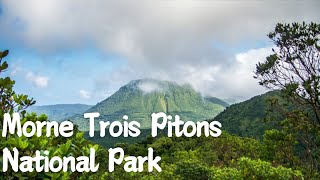 Exploring Morne Trois Pitons National Park Dominicas Natural Wonder [upl. by Sheya]