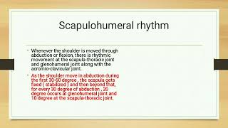 Scapulohumeral Rhythm [upl. by Niaz93]