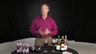 Wand removes sulfites from wine [upl. by Kobylak284]