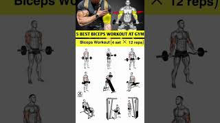 biceps workout biceps workout at gym biceps workout with dumbbells World’s FASTEST Biceps Workout [upl. by Steere191]