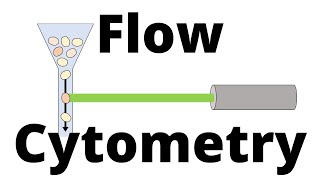 FLOW CYTOMETRY in 1 minute [upl. by Zobkiw]