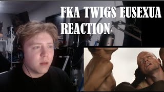 FKA TWIGS  Eusexua MV Reaction [upl. by Tterrag721]