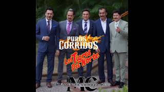 Mix De Puros Corridos De Los Tigres Del Norte [upl. by Airahcaz730]