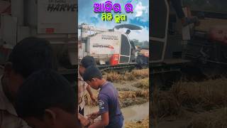 Ajira firts mini vlogs odia minivlog odiaminivlog shorts [upl. by Nosyt]