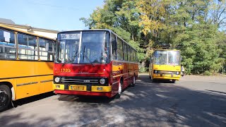 🇵🇱PL MPK Poznań Wrocław  Ikarus 26004 1735  🚍135➡️PILCZYCE [upl. by Kurth588]