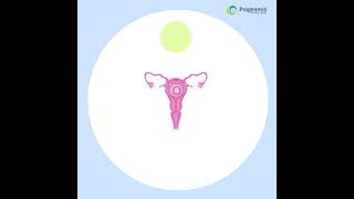 IVF Process Stepbystep animation [upl. by Sadella]