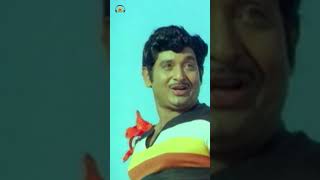 DRamanaidu  Muchataga Mugguram Song  Muchataga Mugguru Movie  Chandra Mohan  Mango Music [upl. by Ariaj]