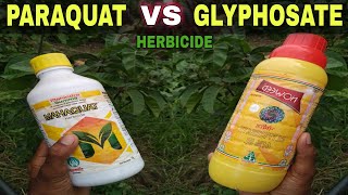 Paraquat Dichloride Vs Glyphosate  Contact Vs Systemic Herbicide used in Agriculture [upl. by Perot]