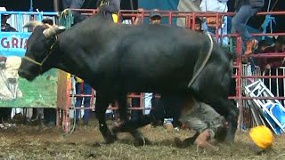 LLEGO LA TRAGEDIA AL JARIPEO  RANCHO PUENTE COLORADO EN TRONCONAL 2024 [upl. by Koerlin]