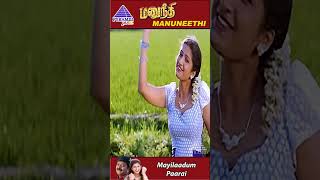 Mayilaadum Paarai Video Song  Manuneethi Tamil Movie Songs  Murali  Prathyusha  Deva  ytshorts [upl. by Lleinad]